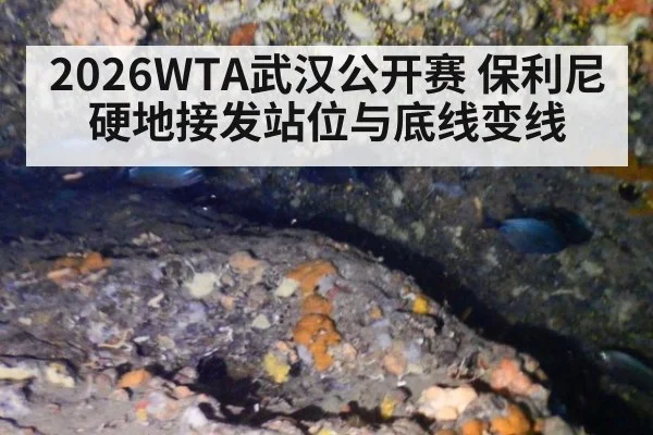 2026WTA武汉公开赛 保利尼硬地接发站位与底线变线